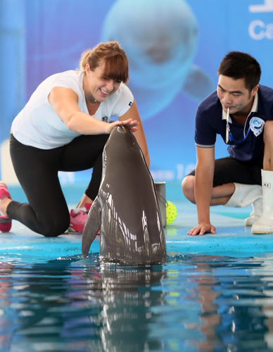 年队的边锋 年队的边锋